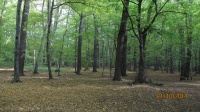 IMG_2765.jpg, 27kB